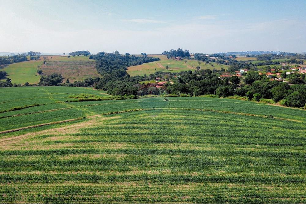 Terreno - Venda - Boituva , São Paulo - Loteamento - Boituva - 6.jpg - 630601137-110