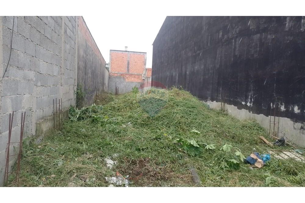 Terreno - Venda - Suzano , São Paulo - WhatsApp Image 2025-06-23 at 20.48.45 (1).jpeg - 630751053-128