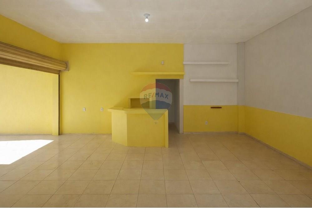 Loja - Venda - Nova Friburgo , Rio de Janeiro - WhatsApp Image 2026-01-03 at 00.15.39.jpeg - 630551055-125