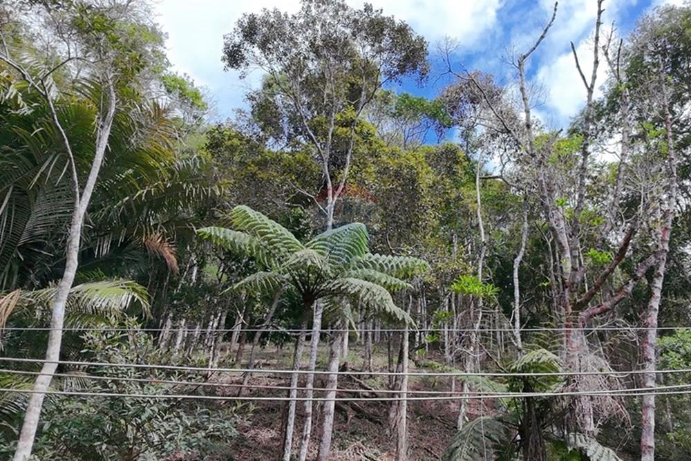 Terreno - Venda - Teresópolis , Rio de Janeiro - DJI_20251223091946_0238_D.JPG - 630191109-14