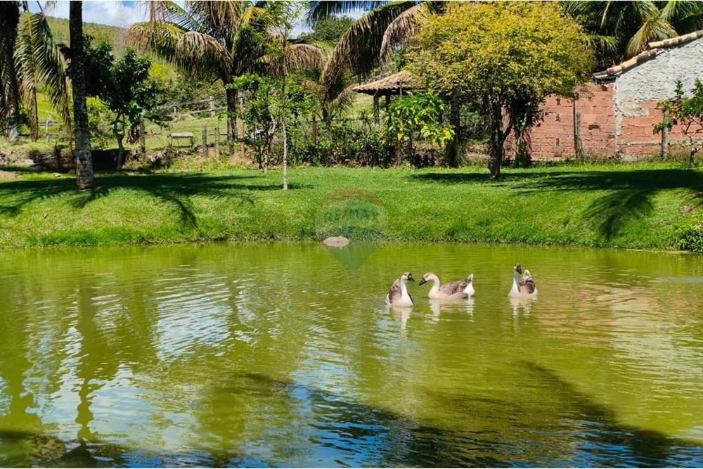 Chácara / Sítio / Fazenda - Venda - Rio Bonito , Rio de Janeiro - WhatsApp Image 2025-09-22 at 14.45.52 (1).jpeg - 631351005-11