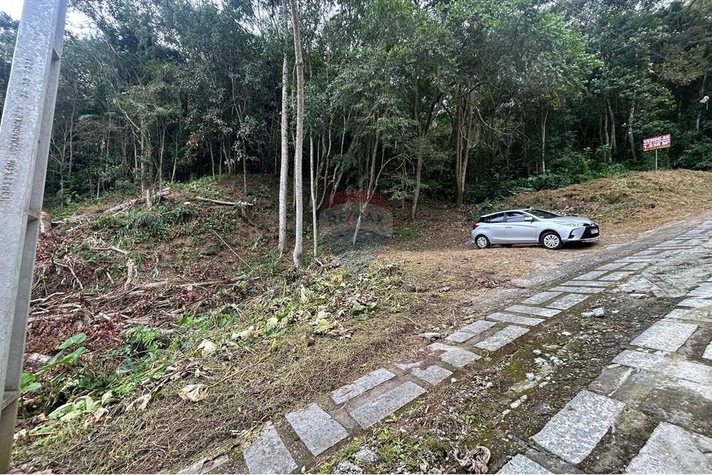 Terreno - Venda - Nova Friburgo , Rio de Janeiro - WhatsApp Image 2025-06-24 at 21.44.18.jpeg - 630551055-90