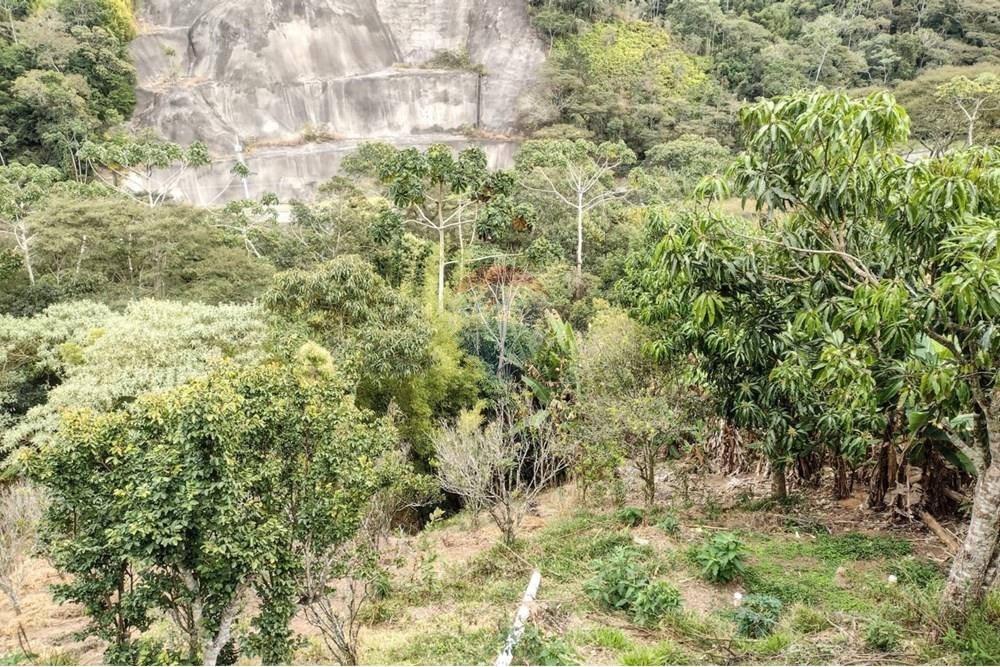 Casa de Campo - Venda - Teresópolis , Rio de Janeiro - QUINTAL .jpg - 630191049-10