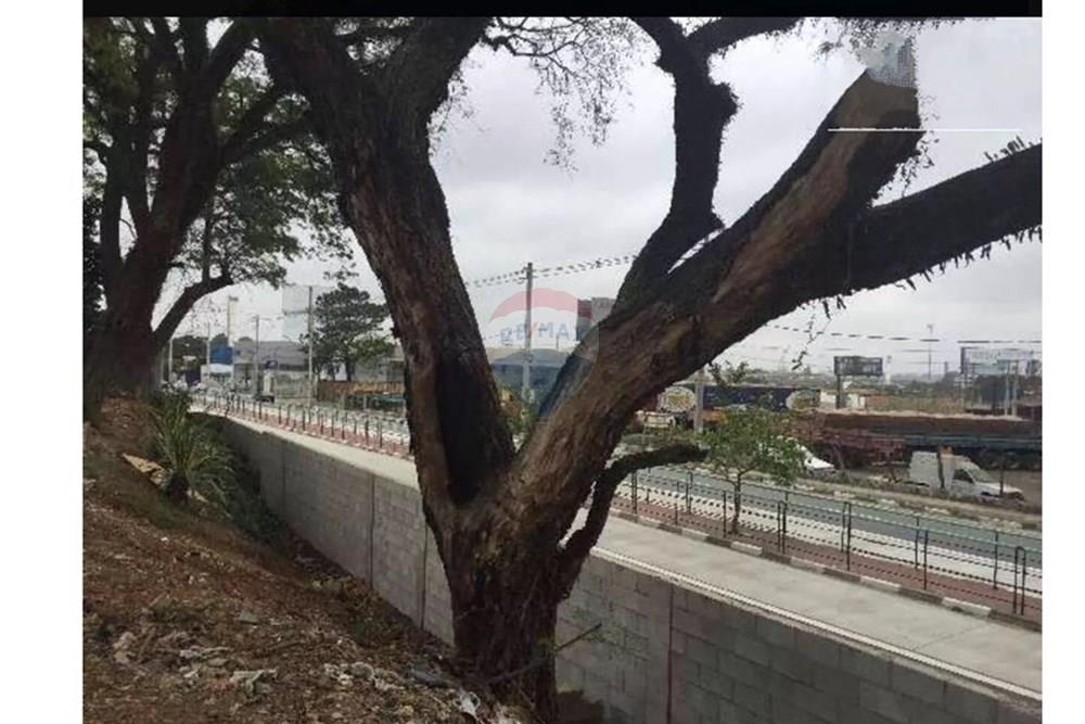 Terreno - Alugar - Guarulhos , São Paulo - gg2.jpg - 630251075-96