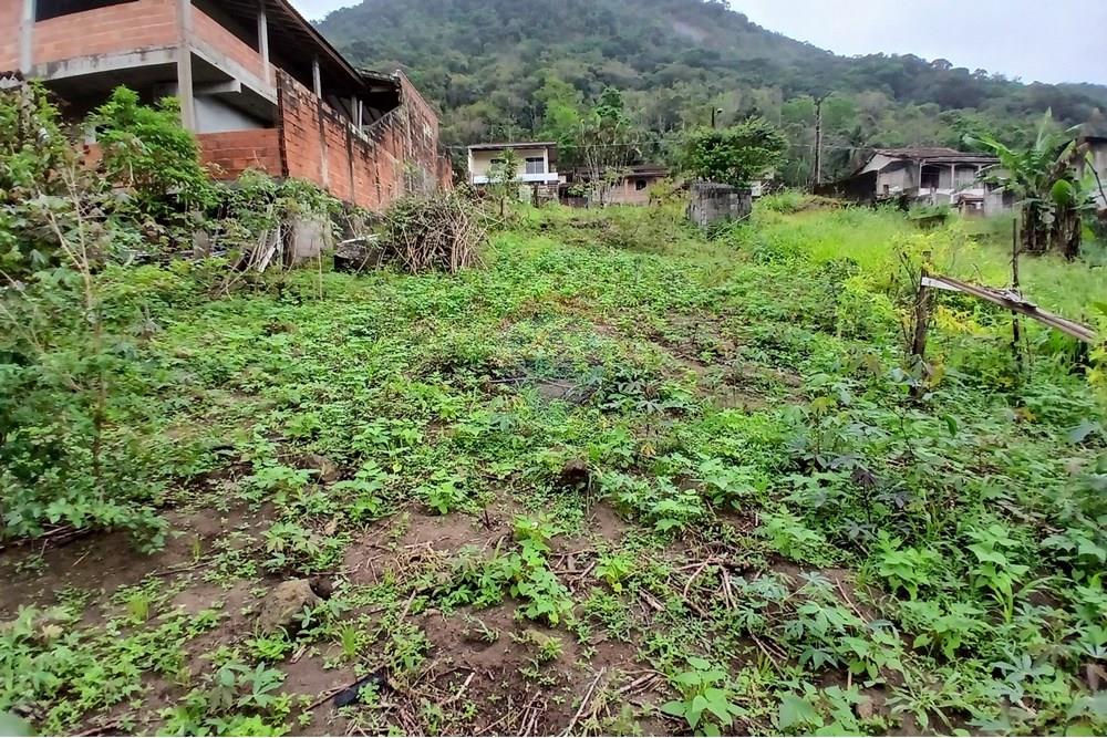 Terreno - Venda - Caraguatatuba , São Paulo - 20251009_100948.jpg - 631571013-20