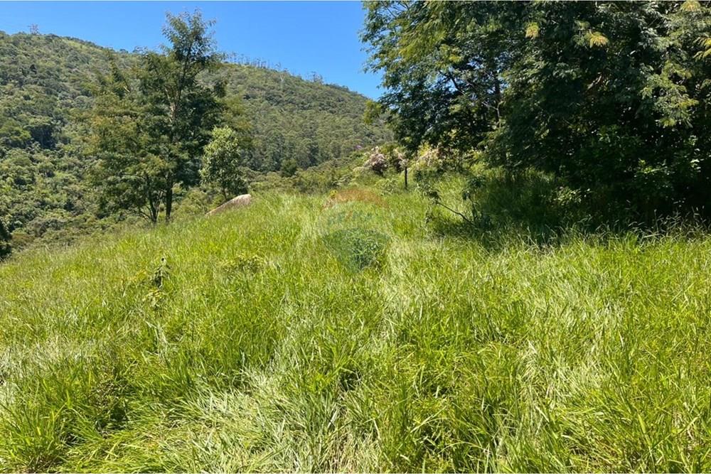 Terreno - Venda - Mogi das Cruzes , São Paulo - WhatsApp Image 2026-02-24 at 13.21.473.jpeg - 631251058-2