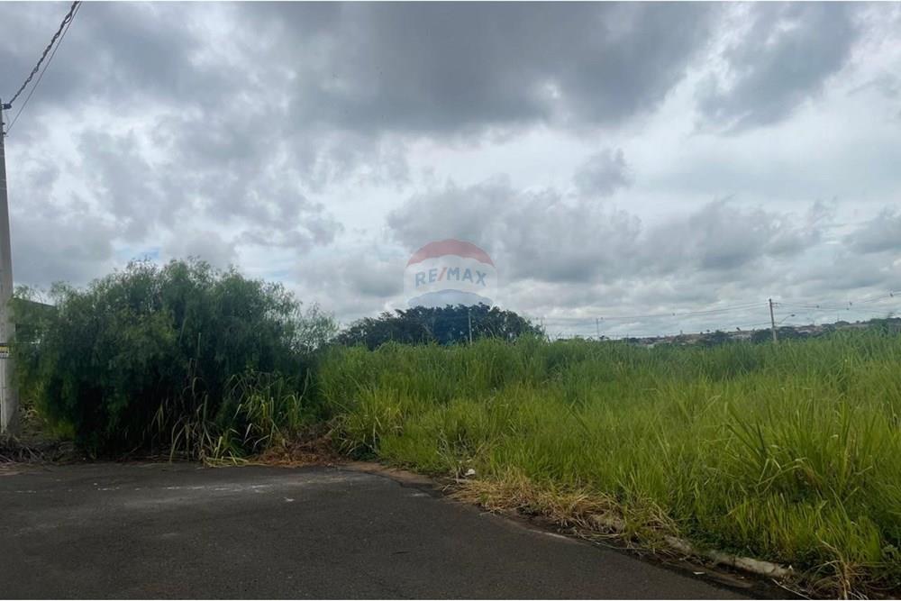 Terreno - Venda - Bady Bassitt , São Paulo - WhatsApp Image 2025-01-27 at 12.48.53.jpeg - 631481002-88