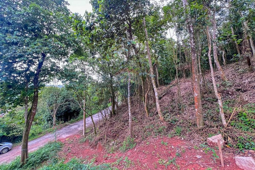 Terreno - Venda - Ribeirão Pires , São Paulo - 10.jpg - 631371054-1