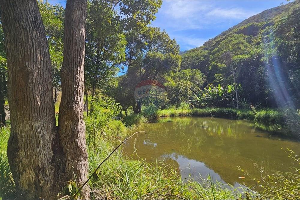 Terreno - Venda - Petrópolis , Rio de Janeiro - 20250623_121800.jpg - 631611012-16