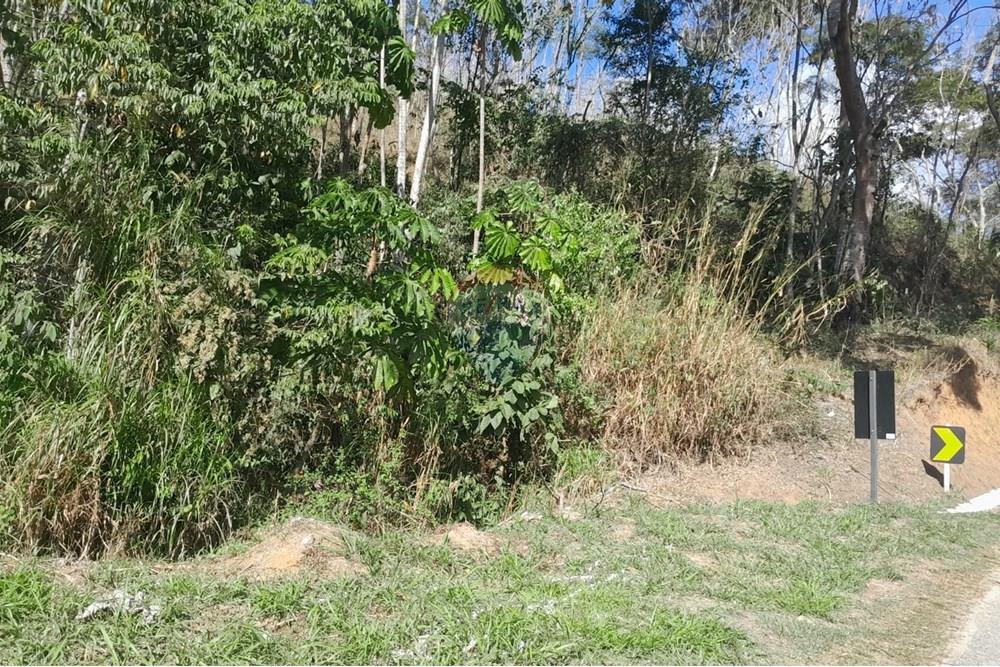 Terreno - Venda - Bom Jardim , Rio de Janeiro - WhatsApp Image 2025-08-14 at 11.04.17 (1).jpeg - 630171007-56