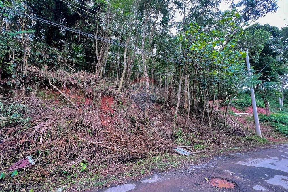 Terreno - Venda - Ribeirão Pires , São Paulo - 4.jpg - 631371054-1