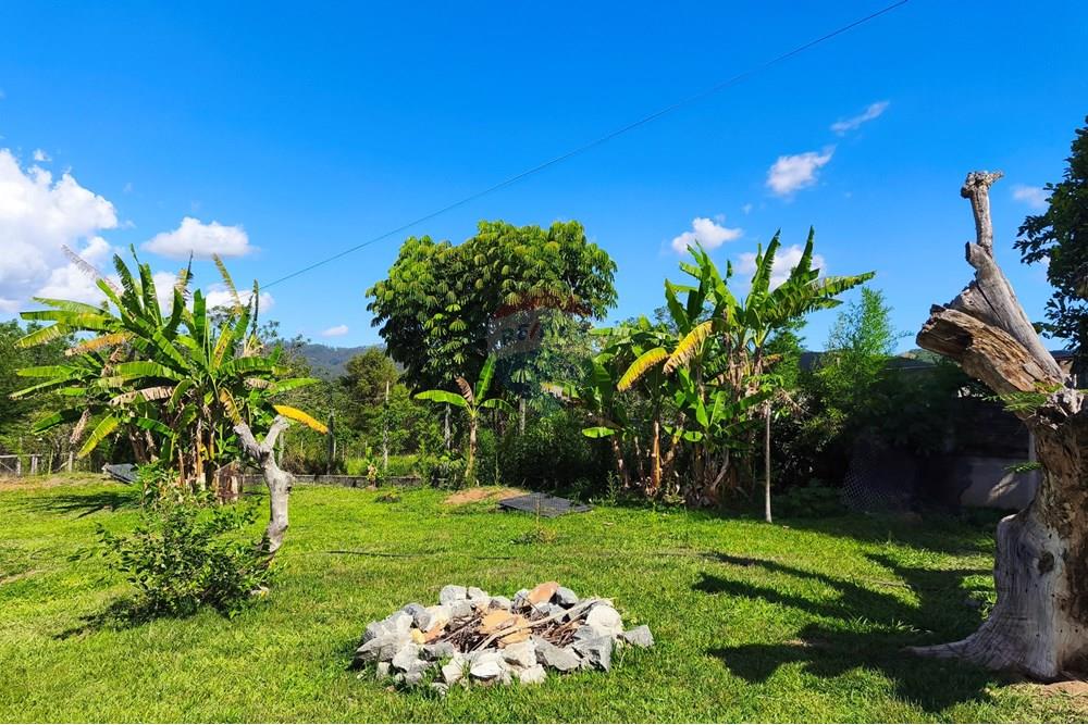 Chácara / Sítio / Fazenda - Venda - Caçapava , São Paulo - IMG_20251205_145749.jpg - 631431001-428