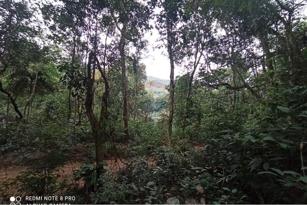 Terreno - Venda - Mairiporã , São Paulo - WhatsApp Image 2025-07-28 at 23.50.17 (1).jpeg - 631361025-37