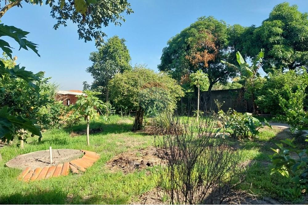 Chácara / Sítio / Fazenda - Venda - Salto de Pirapora , São Paulo - WhatsApp Image 2025-05-07 at 16.46.05 (1).jpeg - 631181023-63