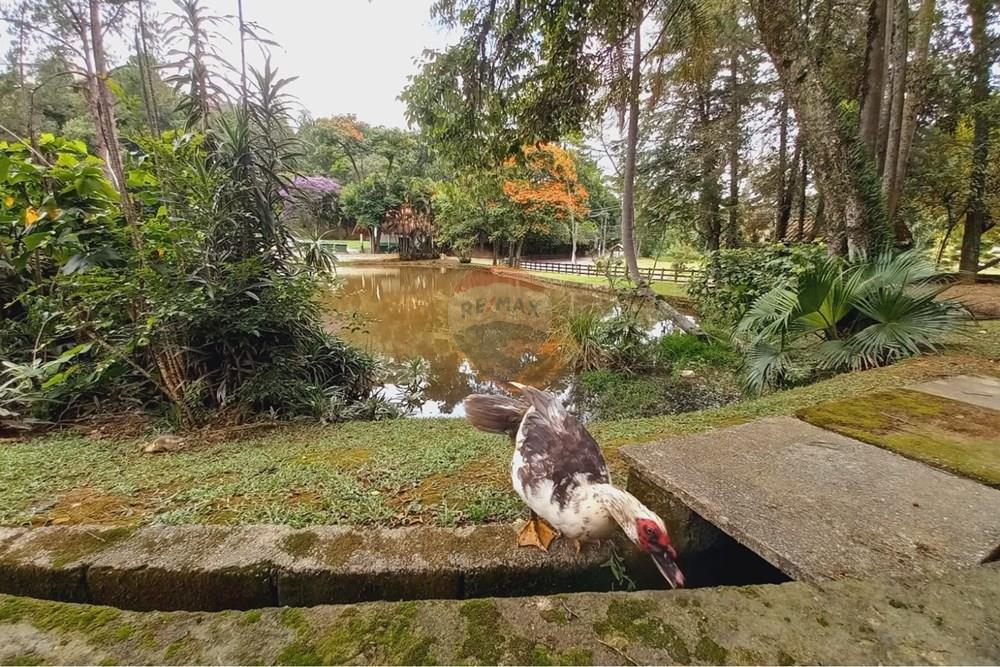 Terreno - Venda - Mairiporã , São Paulo - WhatsApp Image 2026-02-09 at 20.38.44.jpeg - 631361080-8