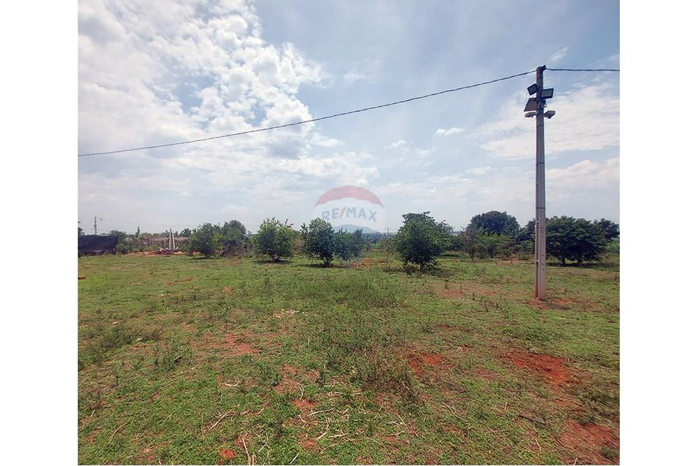 Chácara / Sítio / Fazenda - Venda - Taciba , São Paulo - Chacara Taciba (26).jpg - 630861066-19