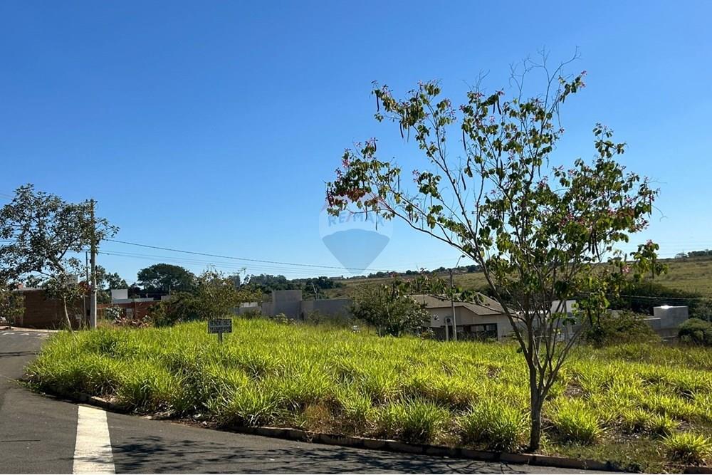 Terreno - Venda - São José do Rio Preto , São Paulo - Imagem do WhatsApp de 2025-05-30 à(s) 14.21.34_e188de33.jpg - 631381002-92