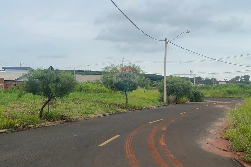 Terreno - Venda - Bady Bassitt , São Paulo - WhatsApp Image 2025-01-27 at 12.48.53 (5).jpeg - 631481002-88