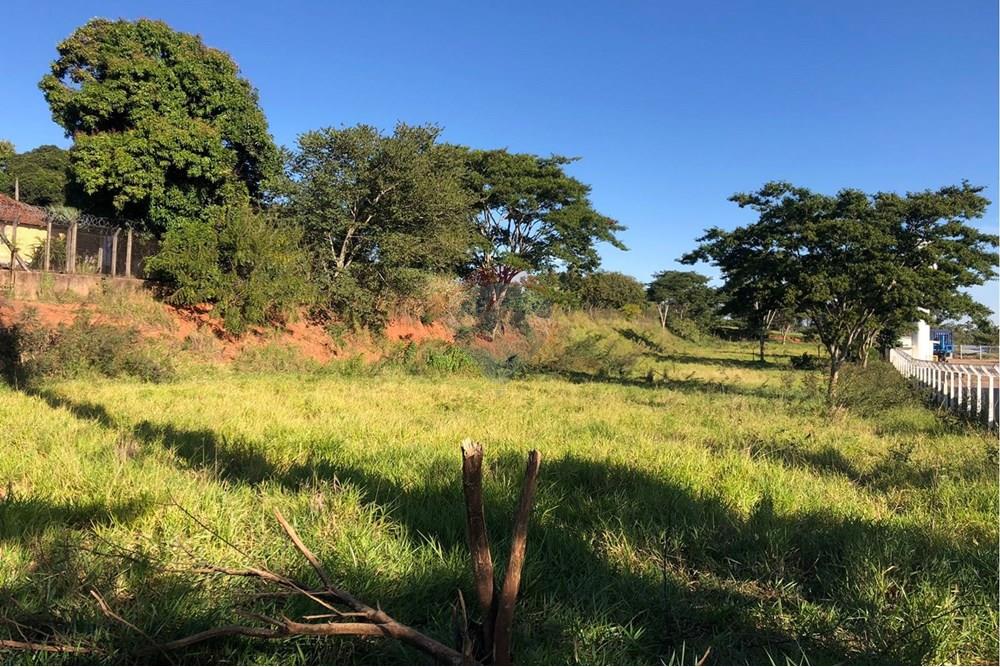 Terreno - Venda - Tupã , São Paulo - IMG-20250718-WA0050.jpg - 630151002-149