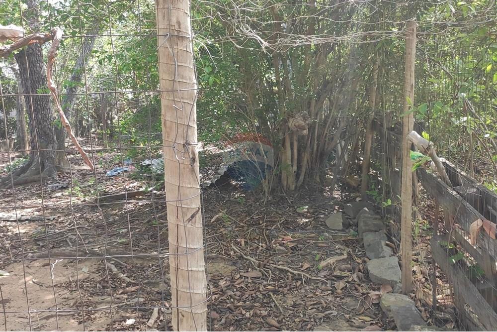 Terreno - Venda - Paraíba do Sul , Rio de Janeiro - IMG_20251106_135812.jpg - 631411001-102