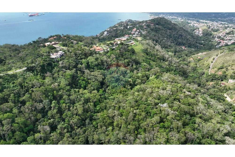 Terreno - Venda - Ilhabela , São Paulo - IMG_4694.jpeg - 690881044-5