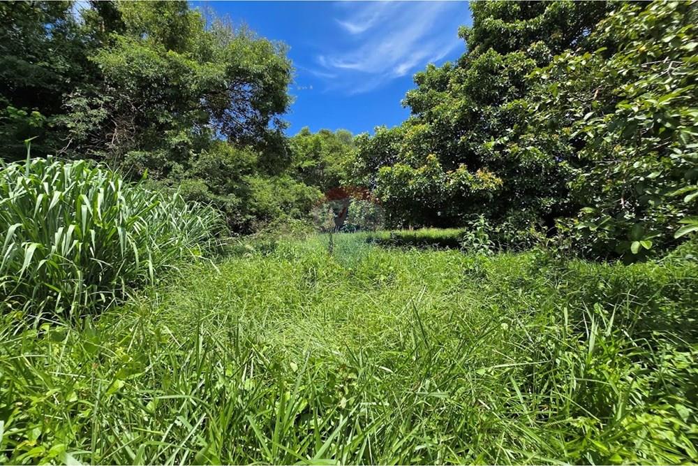 Terreno - Venda - Botucatu , São Paulo - 20260214_111113.jpg - 630481020-61