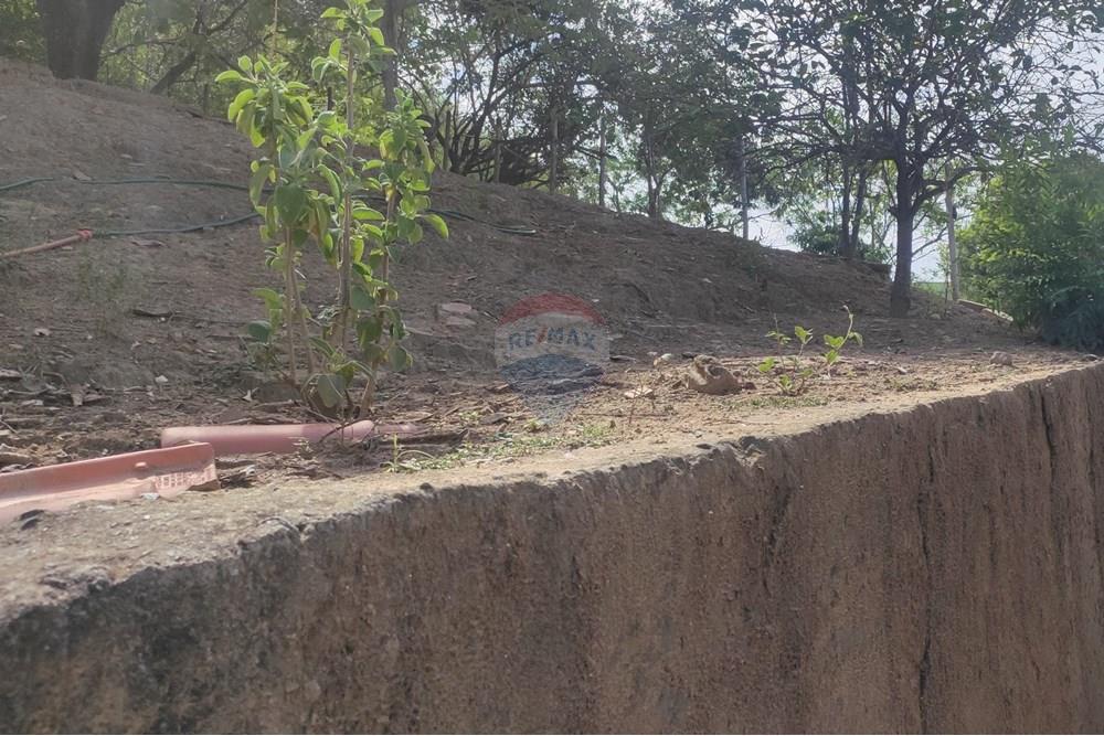 Terreno - Venda - Paraíba do Sul , Rio de Janeiro - IMG_20251106_135533.jpg - 631411001-102