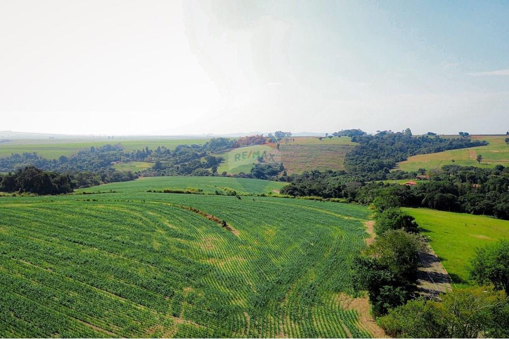 Terreno - Venda - Boituva , São Paulo - Loteamento - Boituva - 3.jpg - 630601137-110