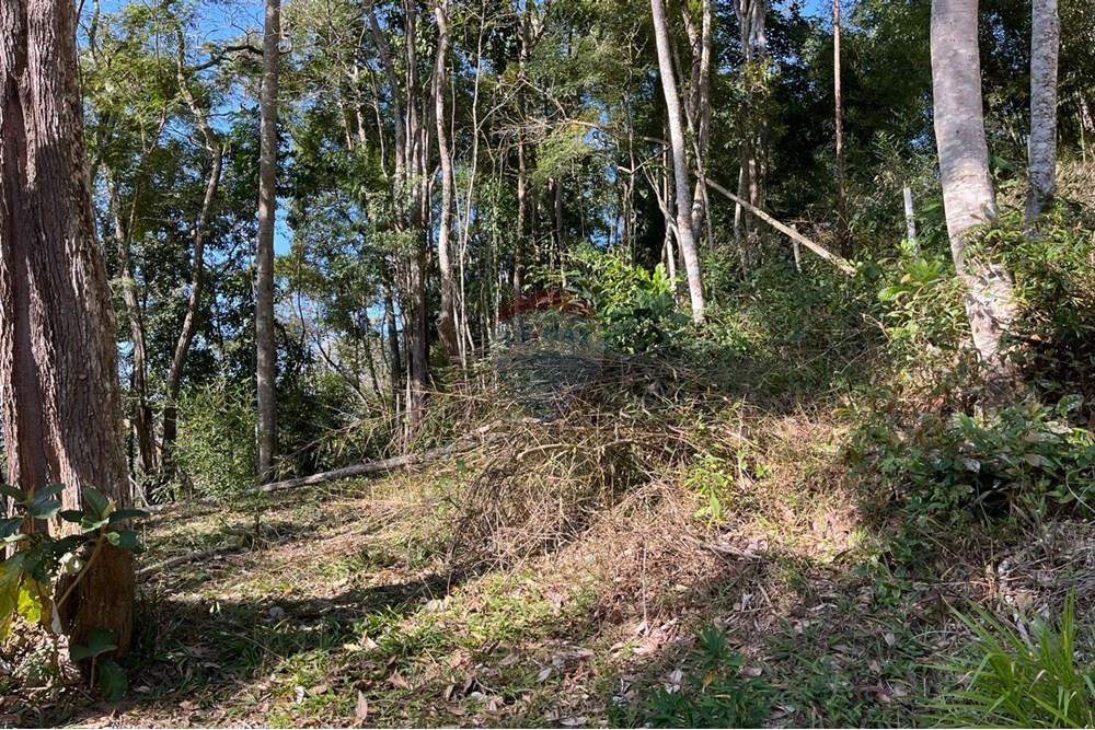 Terreno - Venda - Teresópolis , Rio de Janeiro - WhatsApp Image 2025-09-25 at 16.27.06 (3).jpeg - 630191097-5