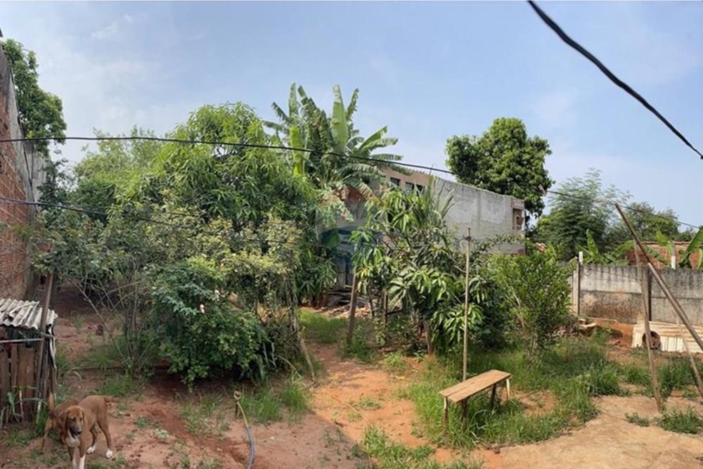 Casa - Venda - São José do Rio Preto , São Paulo - pomar 1.jpeg - 631481003-233