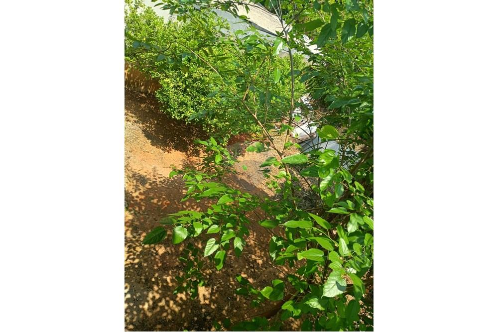 Casa - Venda - São Roque , São Paulo - WhatsApp Image 2025-10-06 at 16.03.43 (2).jpeg - 631601016-41