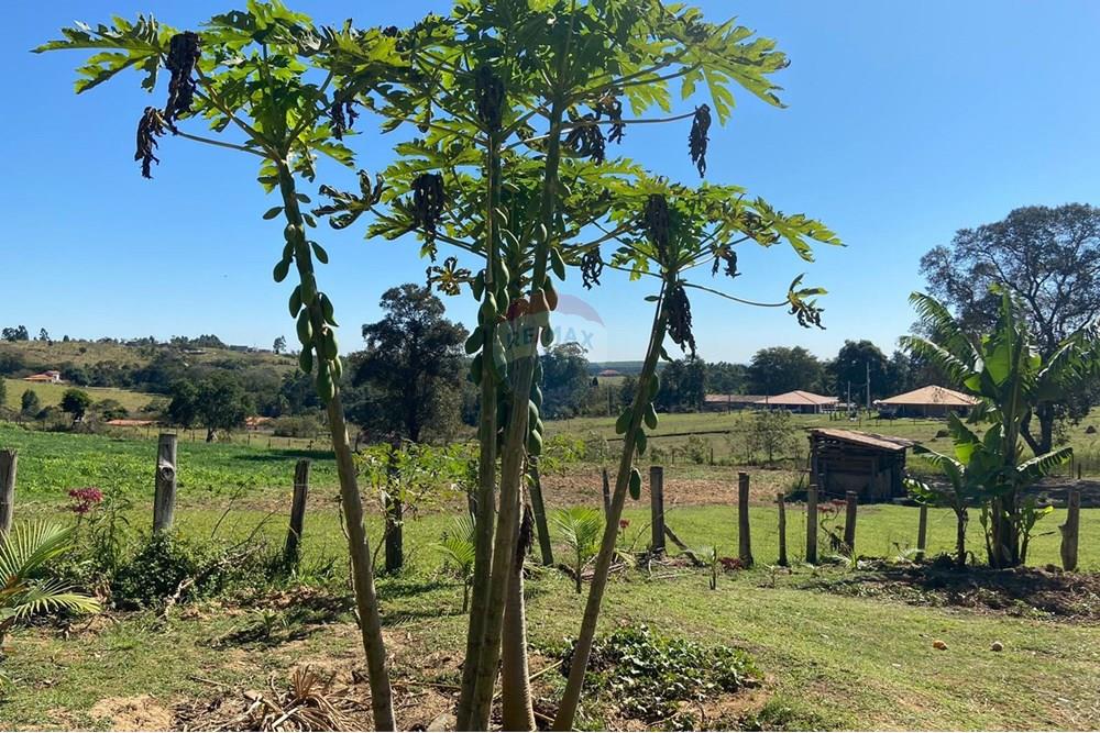 Chácara / Sítio / Fazenda - Alugar - Salto de Pirapora , São Paulo - WhatsApp Image 2025-07-15 at 13.03.21 (1).jpeg - 631181025-207