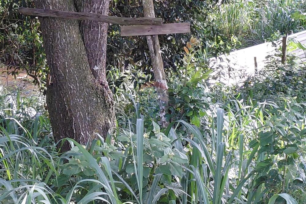 Terreno - Venda - Armação dos Búzios , Rio de Janeiro - 20260206_163630.jpg - 630391071-28