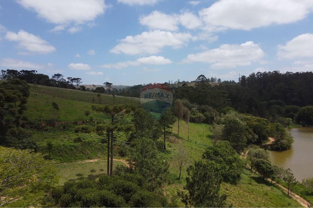 Terreno - Venda - Mairinque , São Paulo - 74a5fcc8-4e0e-4fd9-8312-20f2ef24e3d5.jpeg - 631601004-144