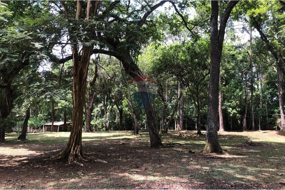 Chácara / Sítio / Fazenda - Venda - Arujá , São Paulo - WhatsApp Image 2025-12-08 at 11.04.36 (2).jpeg - 631491019-2