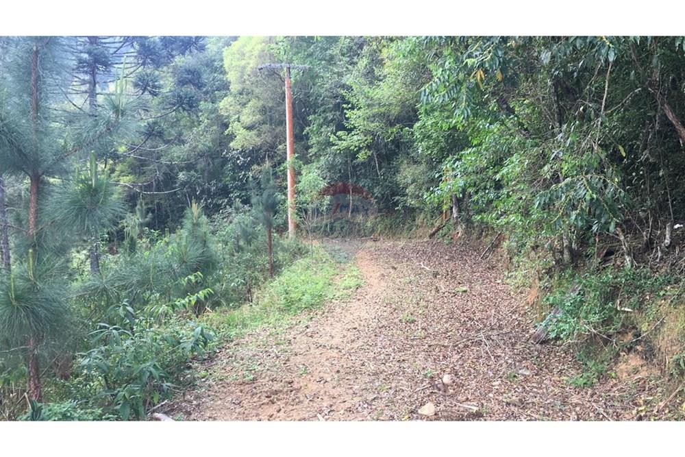 Chácara / Sítio / Fazenda - Venda - Barra do Chapéu , São Paulo - WhatsApp Image 2025-04-11 at 15.16.23.jpeg - 630241005-68