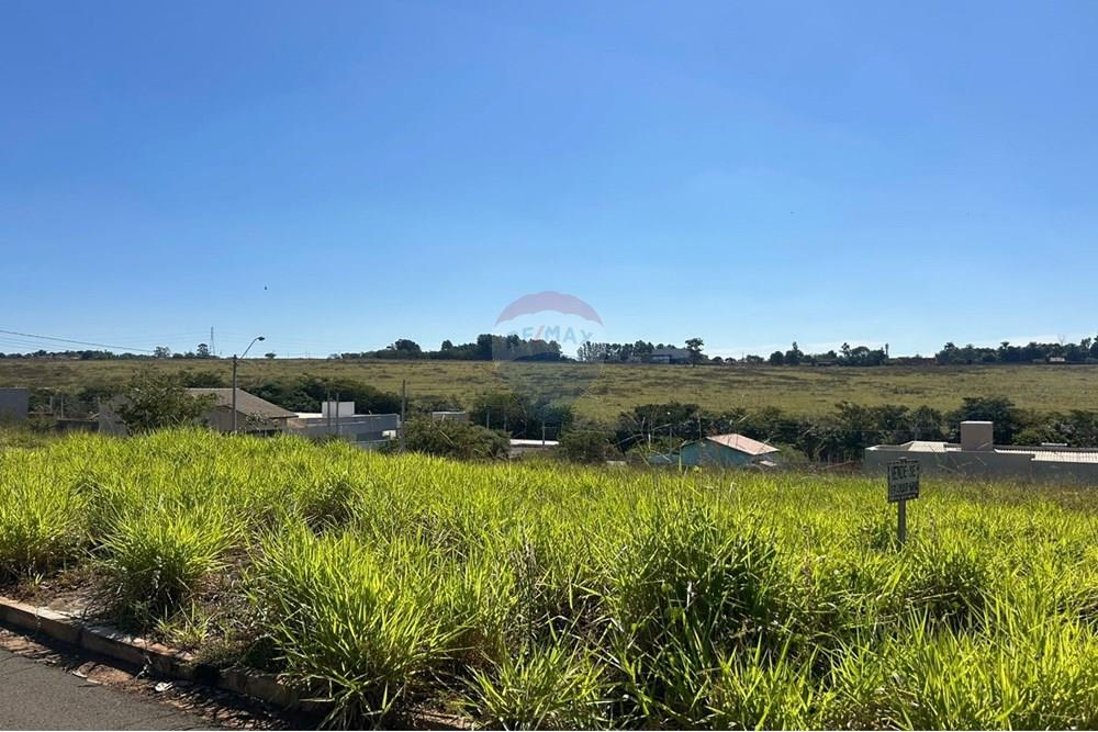 Terreno - Venda - São José do Rio Preto , São Paulo - Imagem do WhatsApp de 2025-05-30 à(s) 14.21.33_2fcfadcd.jpg - 631381002-92