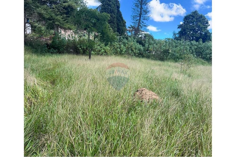 Terreno - Venda - Mairiporã , São Paulo - Imagem do WhatsApp de 2025-05-23 à(s) 14.46.38_f7c10011.jpg - 631361005-125