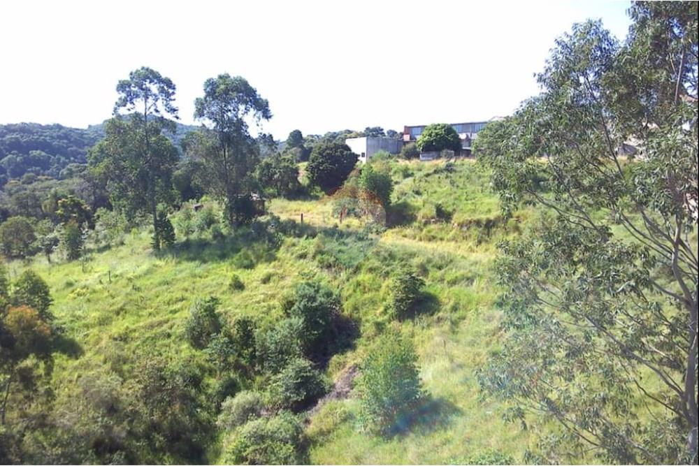 Chácara / Sítio / Fazenda - Venda - Mairiporã , São Paulo - WhatsApp Image 2025-11-25 at 11.42.34 (1).jpeg - 631361071-2