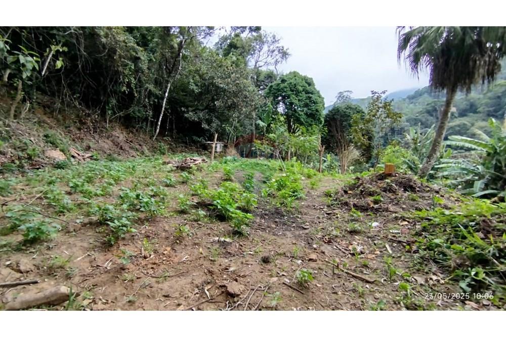 Terreno - Venda - Petrópolis , Rio de Janeiro - WhatsApp Image 2025-05-26 at 12.02.19.jpeg - 630131076-3