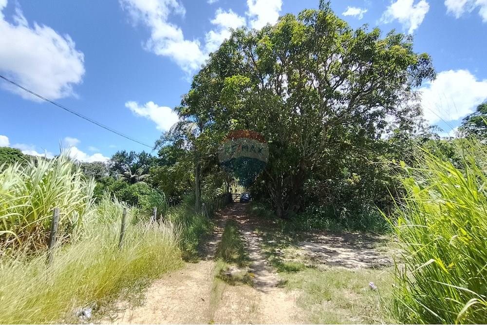Terreno - Venda - Paraíba do Sul , Rio de Janeiro - IMG_20250225_111727_HDR.jpg - 631411001-104