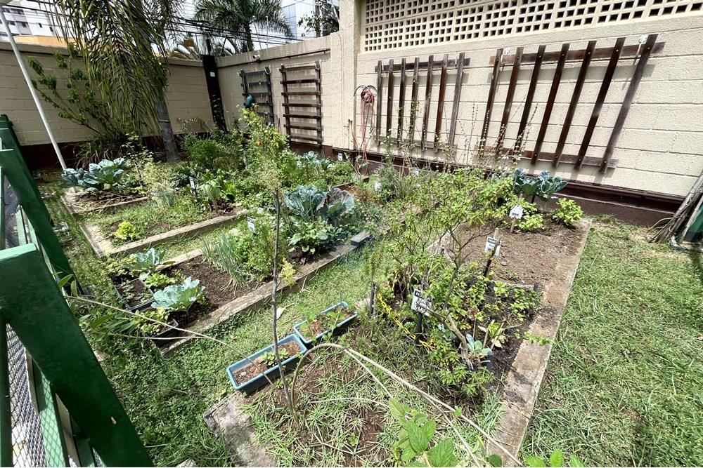 Apartamento - Alugar - Mogi das Cruzes , São Paulo - IMG_0336.jpg - 630281020-336