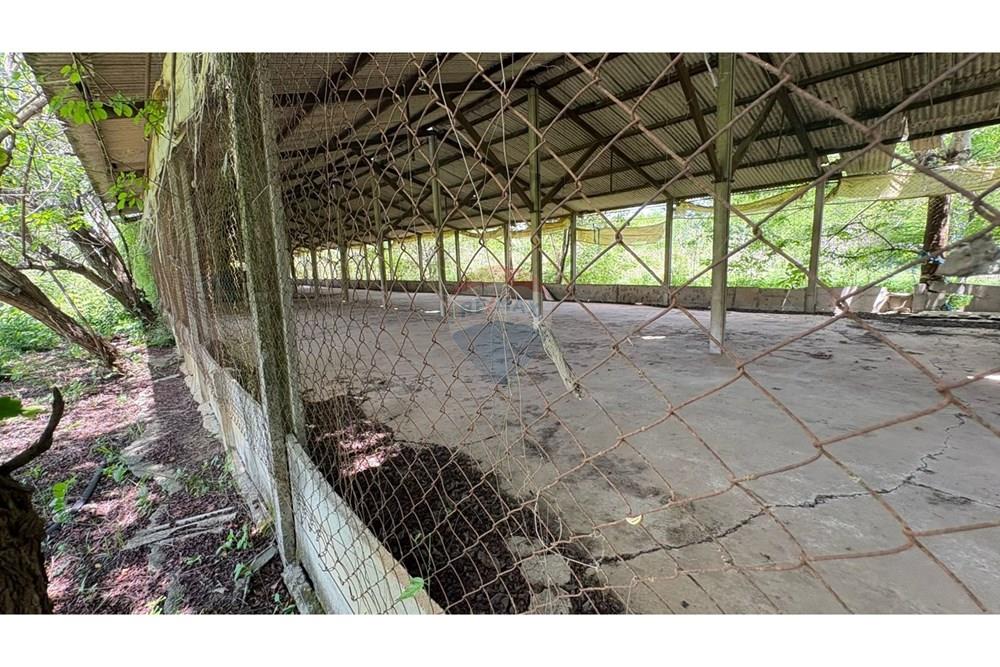 Chácara / Sítio / Fazenda - Venda - Porangaba , São Paulo - WhatsApp Image 2025-11-28 at 09.40.06 (1).jpeg - 630481027-140