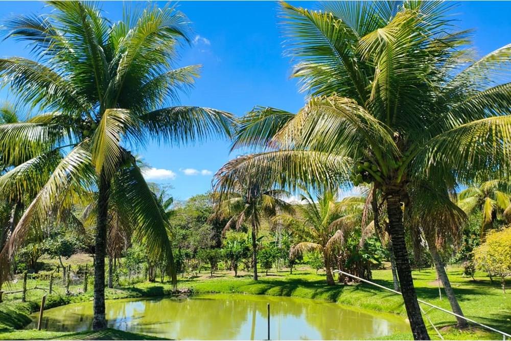 Chácara / Sítio / Fazenda - Venda - Rio Bonito , Rio de Janeiro - WhatsApp Image 2025-09-22 at 14.45.58.jpeg - 631351005-11