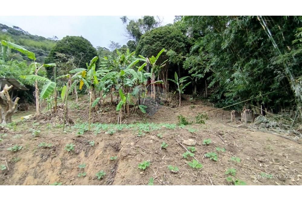 Terreno - Venda - Petrópolis , Rio de Janeiro - WhatsApp Image 2025-05-26 at 12.02.31 (2).jpeg - 630131076-3