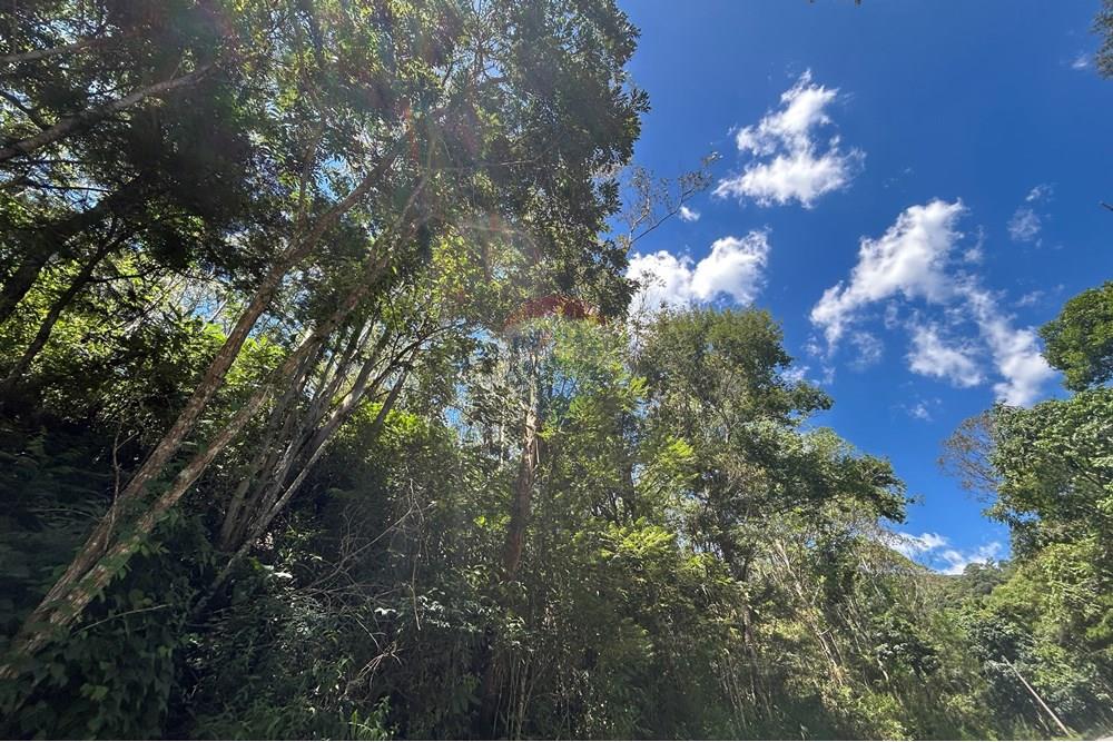 Terreno - Venda - Nova Friburgo , Rio de Janeiro - IMG_6789.JPG - 630551037-40