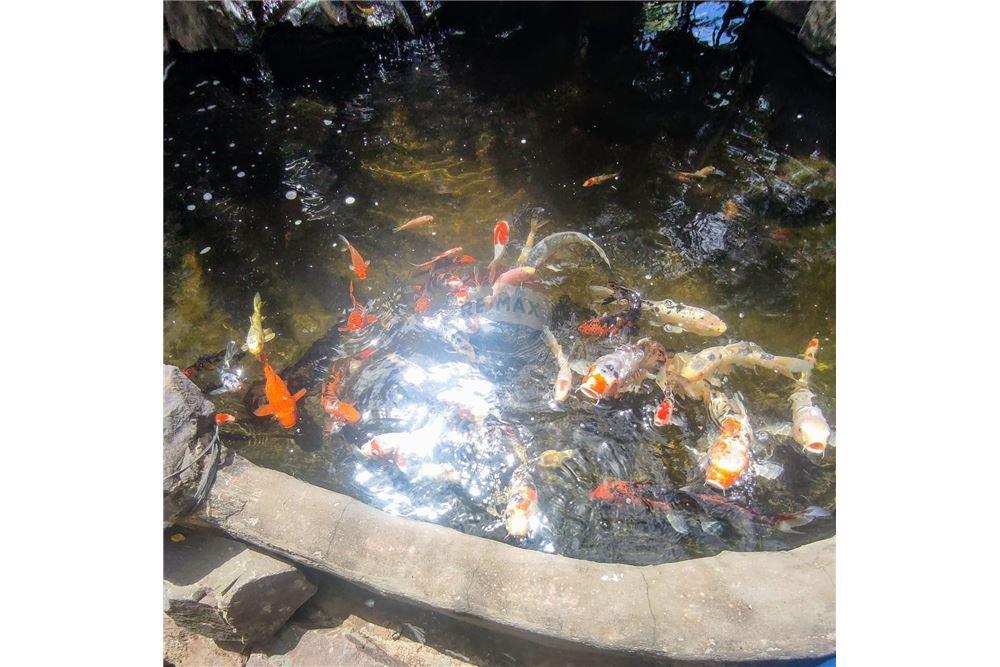 Casa - Venda - Araçatuba , São Paulo - 95 - 630541005-34