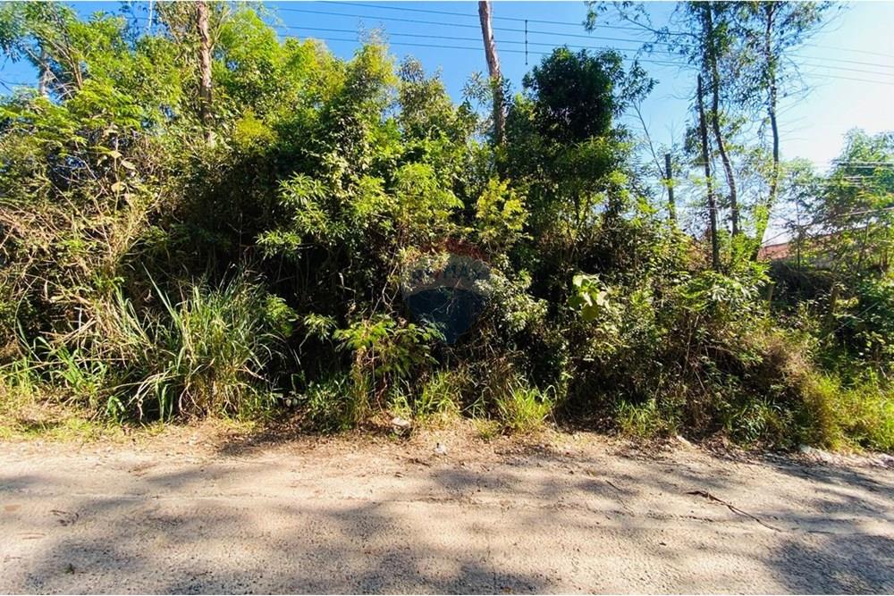 Terreno - Venda - Mairiporã , São Paulo - WhatsApp Image 2025-11-11 at 11.06.07 (1).jpeg - 631361041-42