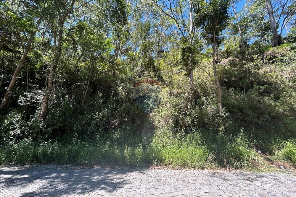 Terreno - Venda - Nova Friburgo , Rio de Janeiro - IMG_6803.JPG - 630551037-40