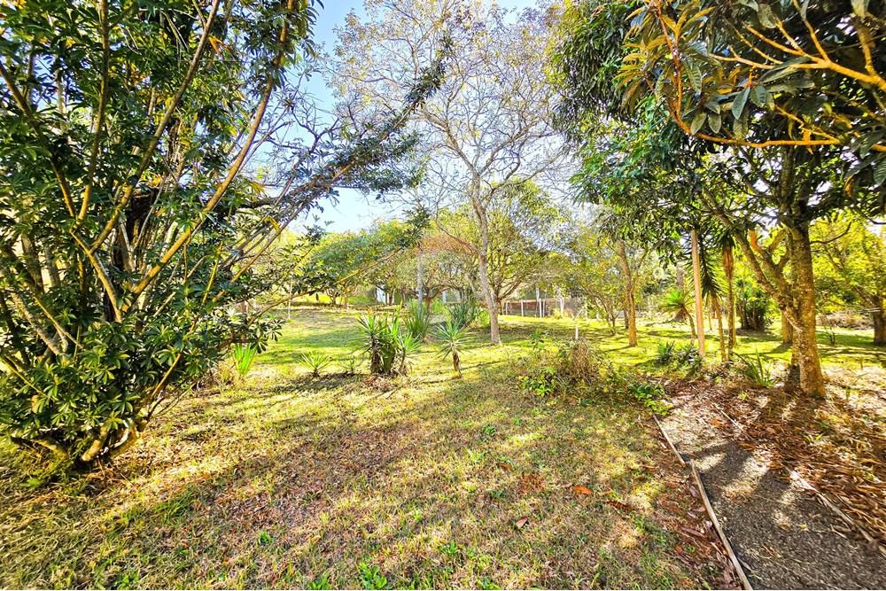 Chácara / Sítio / Fazenda - Venda - Pardinho , São Paulo - 33-20250730_152208.jpg - 630481103-147
